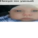 Nhãn dán