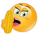 贴纸