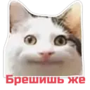 스티커