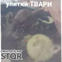 ملصق