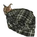 ステッカー
