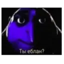 Կպչուն պիտակ