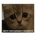 Կպչուն պիտակ