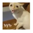 Կպչուն պիտակ