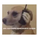 Կպչուն պիտակ