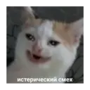 Կպչուն պիտակ