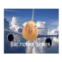 Կպչուն պիտակ