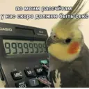 Стикер