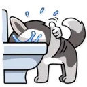 Stiker