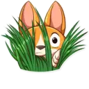Nhãn dán
