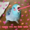 מדבקה
