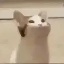 ملصق