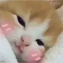 ملصق
