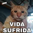 ملصق