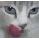 ملصق