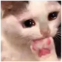 ملصق
