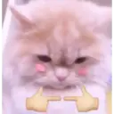 ملصق