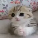 ملصق