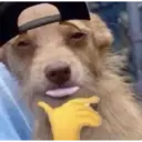 ملصق