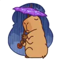 స్టికర్