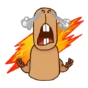 స్టికర్