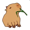 స్టికర్