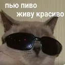 Стикер