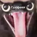 Стикер