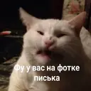 Стикер