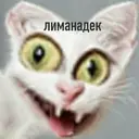 Стикер