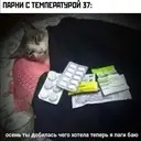 Стикер