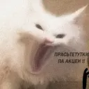 Стикер