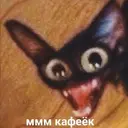 Стикер