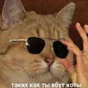 Samolepka