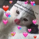 Samolepka