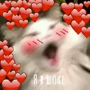 Samolepka