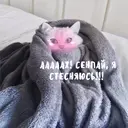Samolepka