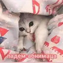 Samolepka