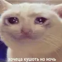 Samolepka