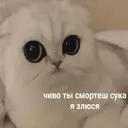 Samolepka