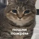Samolepka