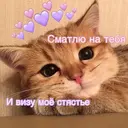 Samolepka
