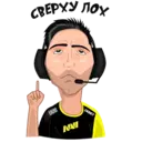 Sticker