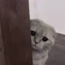 Çıkartma