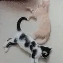 Çıkartma