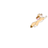 Límmiði