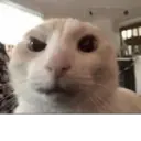 Nhãn dán