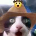 Nhãn dán