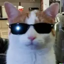 Nhãn dán