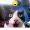Nhãn dán